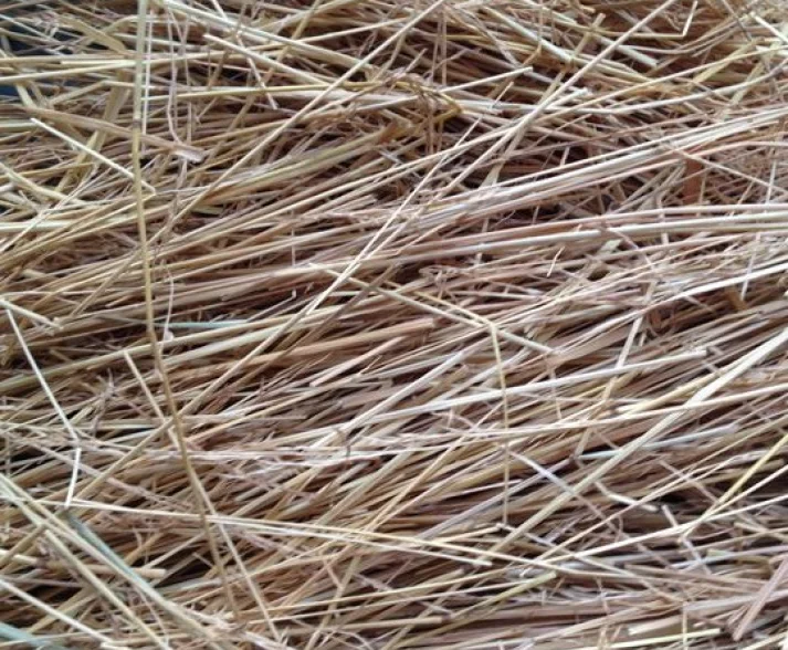 Graszaadhooi